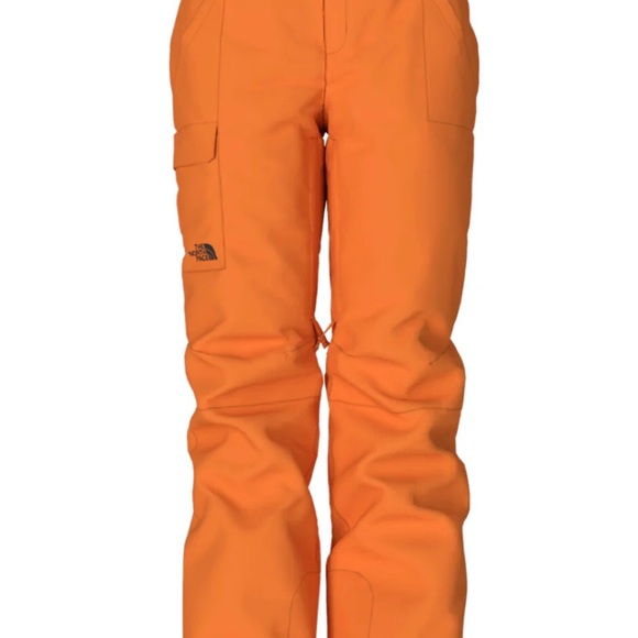 NWT The North Face Freedom Insulated Snow Pants - Picture 2 of 2